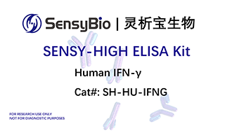 Human IFN-γ