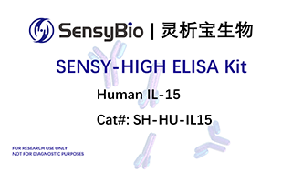 Human IL-15