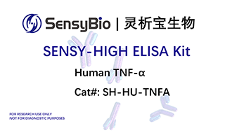 Human TNF-α