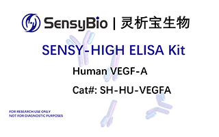 Human VEGFA