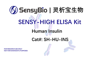Human Insulin